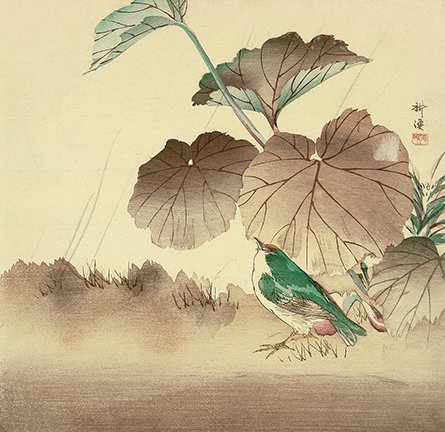 photo16.jpg