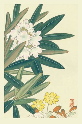 photo25.jpg