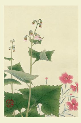 photo26.jpg