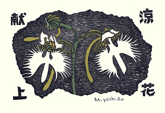 photo32.jpg