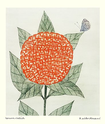 photo24.jpg