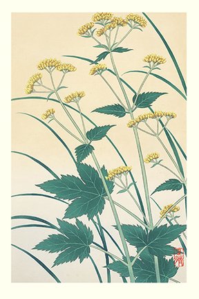 photo57.jpg