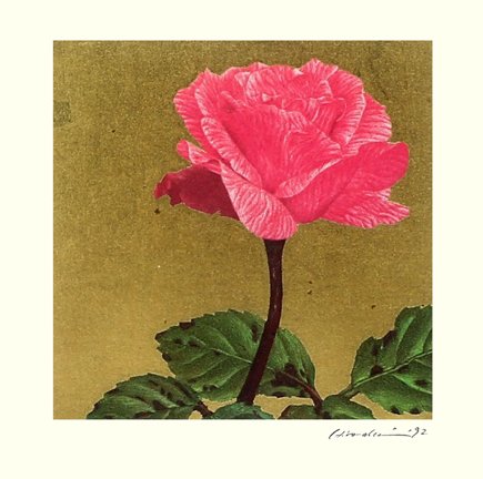 photo10.jpg