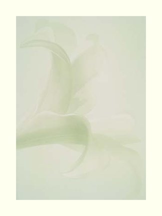 photo22.jpg