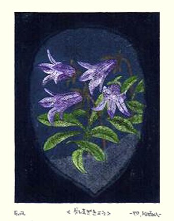 photo65.jpg