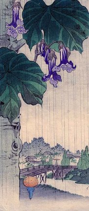 photo6.jpg