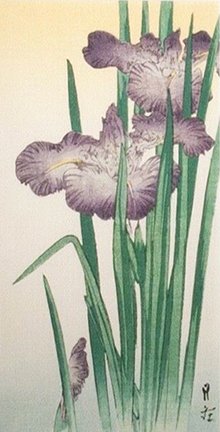 photo12.jpg