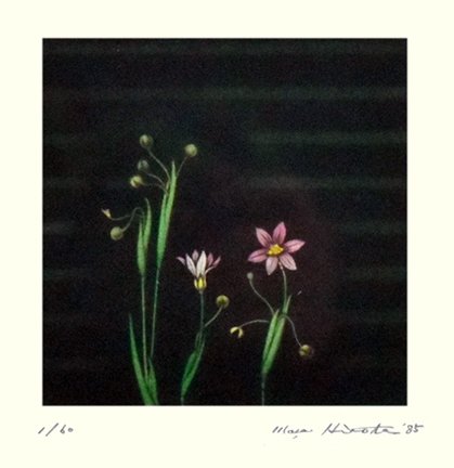 photo64.jpg