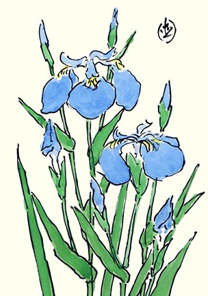 photo78.jpg