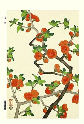 photo82.jpg