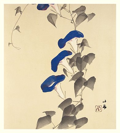 photo86.jpg