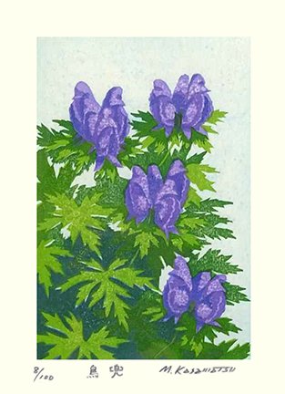 photo25.jpg