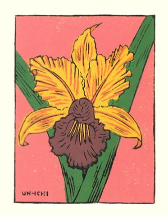 photo42.jpg