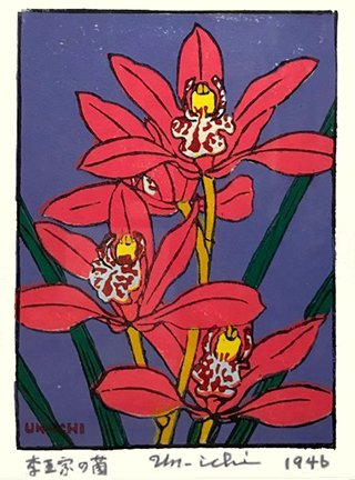 photo43.jpg