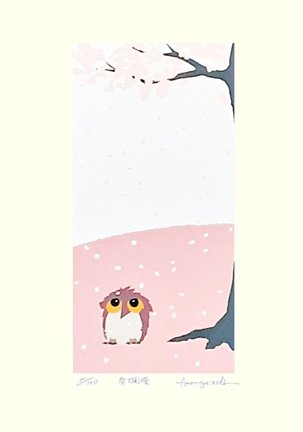 photo23.jpg