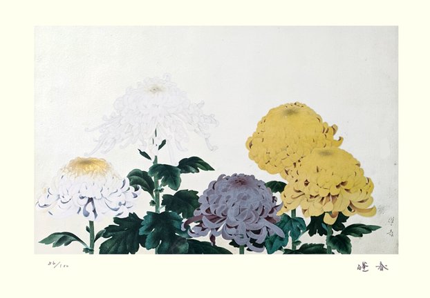photo46.jpg