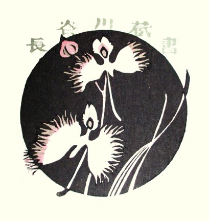 photo91.jpg