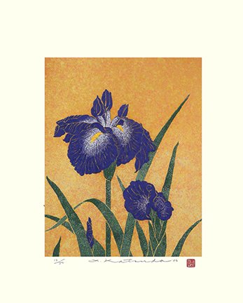 photo22.jpg