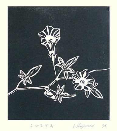 photo14.jpg