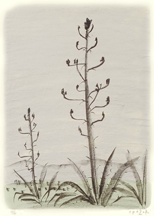 photo143.jpg