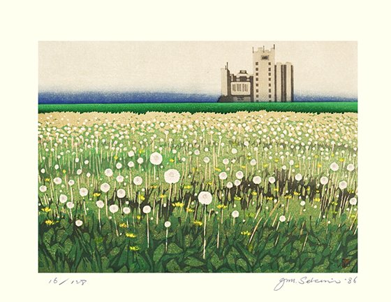 photo19.jpg