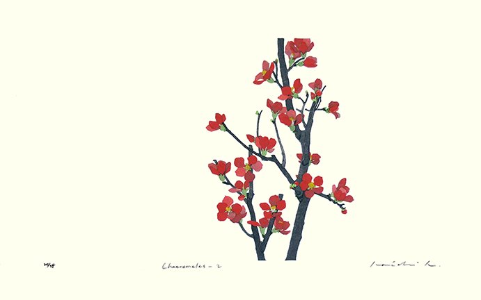 photo29.jpg
