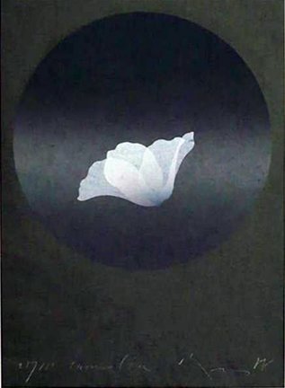 photo37.jpg