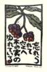 photo77_small.jpg