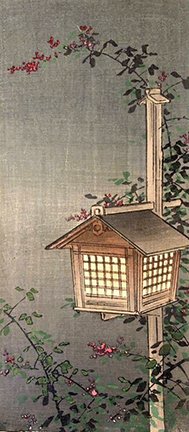 photo27.jpg