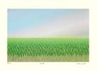 photo53_small.jpg