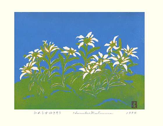 photo25.jpg