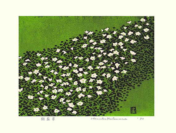 photo28.jpg