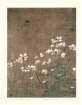 photo31_small.jpg