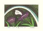 photo63_small.jpg
