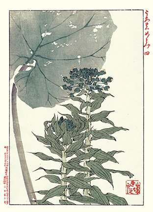 photo69.jpg