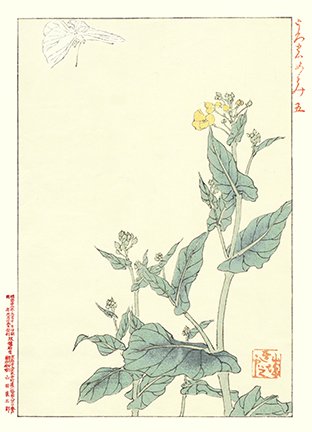 photo70.jpg
