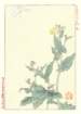 photo70_small.jpg