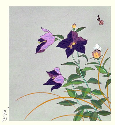 photo99.jpg