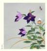 photo99_small.jpg