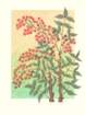 photo27_small.jpg