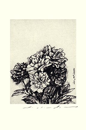 photo32.jpg