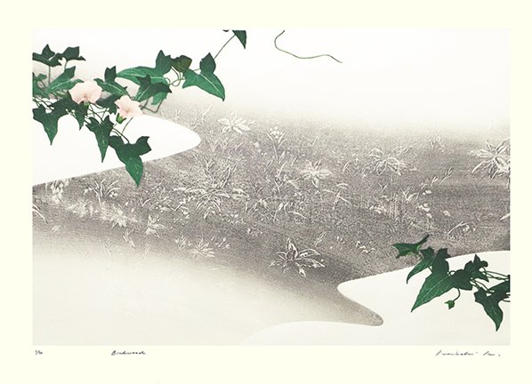 photo35.jpg