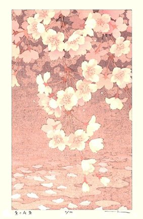 photo52.jpg