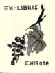 photo11_small.jpg