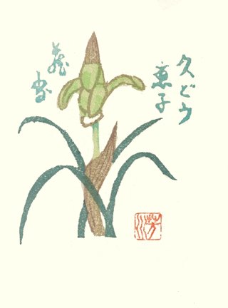 photo43.jpg