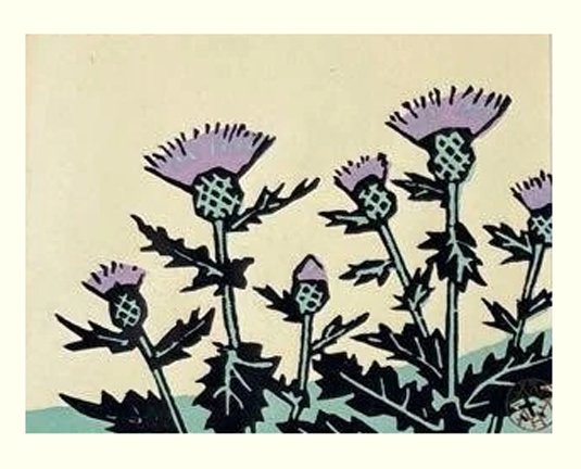 photo87.jpg