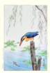 photo10_small.jpg