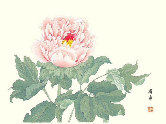 photo21.jpg