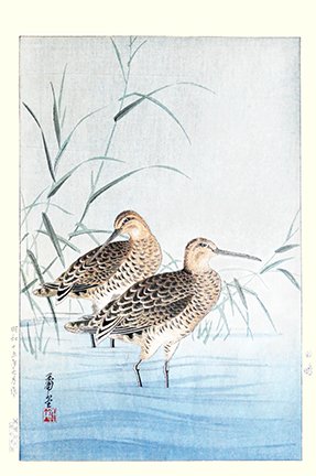 photo9.jpg