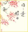 photo12_small.jpg
